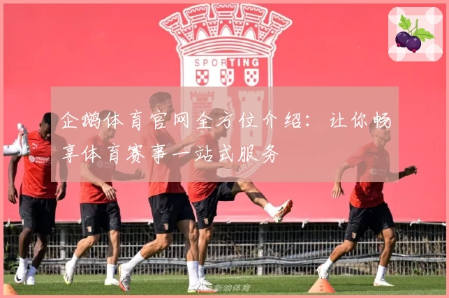 企鹅体育官网全方位介绍:让你畅享体育赛事一站式服务