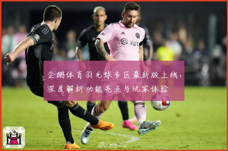 企鹅体育羽毛球专区最新版上线，深度解析功能亮点与玩家体验