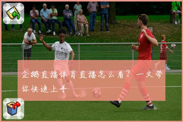 企鹅直播体育直播怎么看?一文带你快速上手