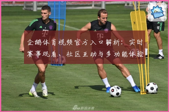 企鹅体育视频官方入口解析：实时赛事观看、社区互动与多功能体验详解