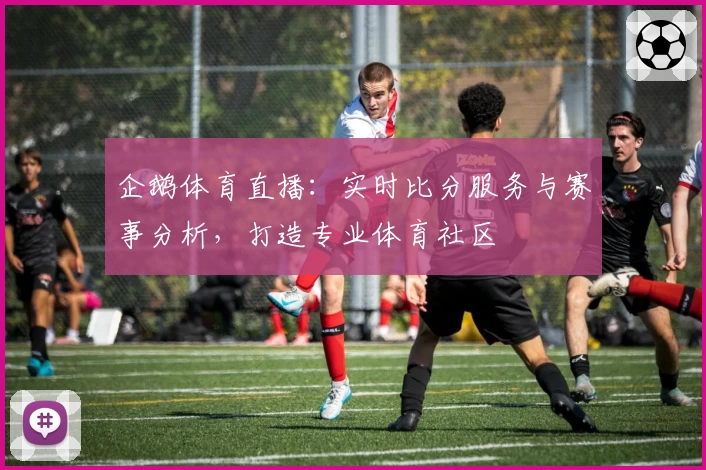 企鹅体育直播:实时比分服务与赛事分析,打造专业体育社区