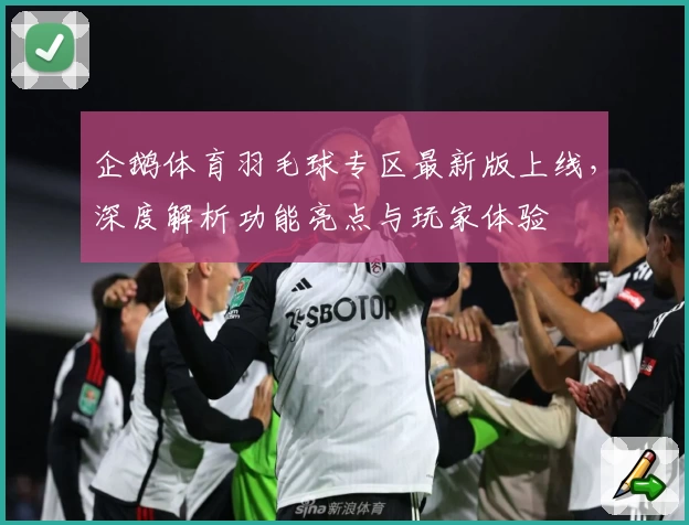 企鹅体育羽毛球专区最新版上线，深度解析功能亮点与玩家体验
