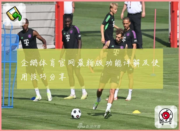 企鹅体育官网最新版功能详解及使用技巧分享