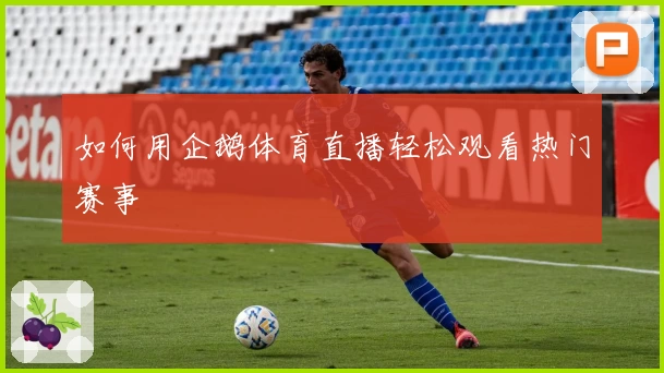如何用企鹅体育直播轻松观看热门赛事
