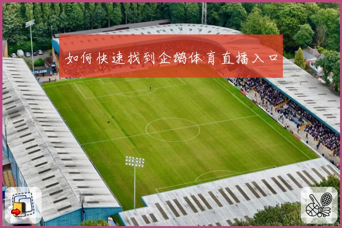 如何快速找到企鹅体育直播入口