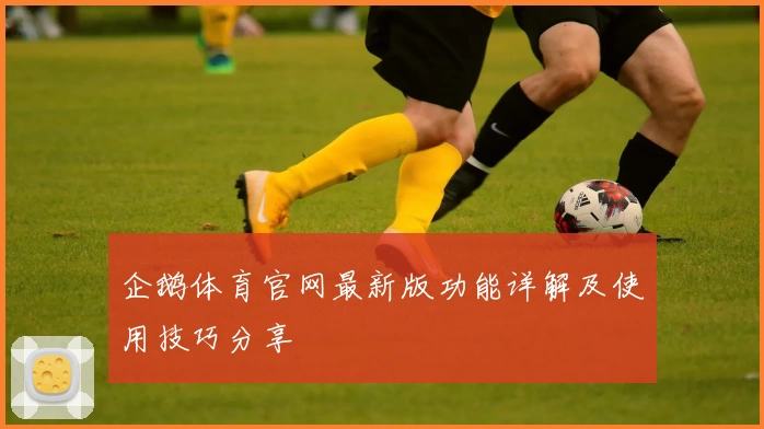企鹅体育官网最新版功能详解及使用技巧分享