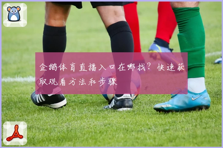企鹅体育直播入口在哪找？快速获取观看方法和步骤