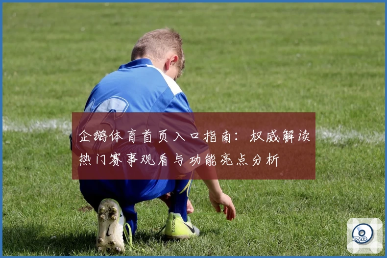 企鹅体育首页入口指南：权威解读热门赛事观看与功能亮点分析